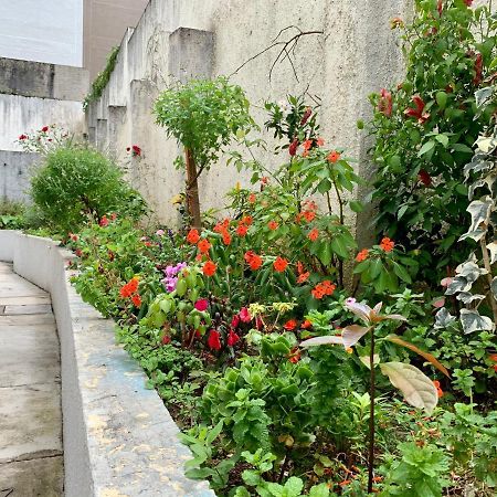 Encantador Suite: Vista Cidade e Cozinha Moderna no Bigorrilho Curitiba Exterior photo